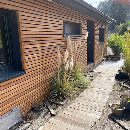 Joli Logement Avec Terrasse La Cigale 6 A 8 Personnes Orbey Exterior foto